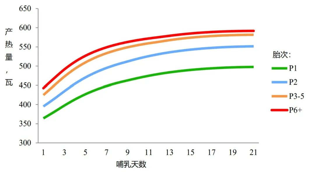 哺乳母猪日平均产热量