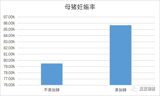 母猪妊娠率