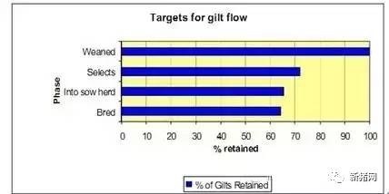 后备母猪从断奶到繁育的利用率(J.Spörke,2005)