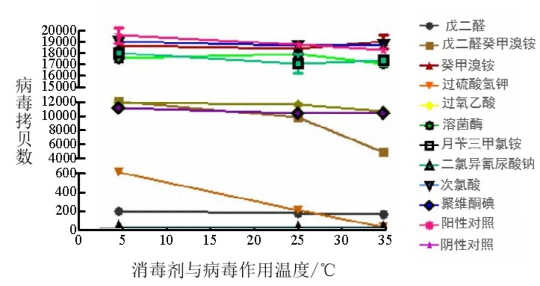 消毒剂与ASFV 不同作用温度病毒拷贝数