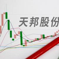 天邦食品拟定增募资不超27.2亿元 打造农牧行业数字化智能化标杆企业