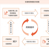 探秘猪周期！影响生猪周期性相关因素分析