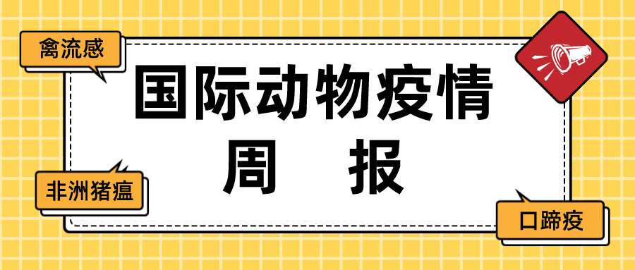 国际动物疫情周报