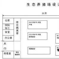 猪场老场长告诉你猪场应该怎么建设？