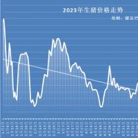 生猪市场看涨情绪逐步到位，猪价升温“9连涨”，上涨仍有变数？