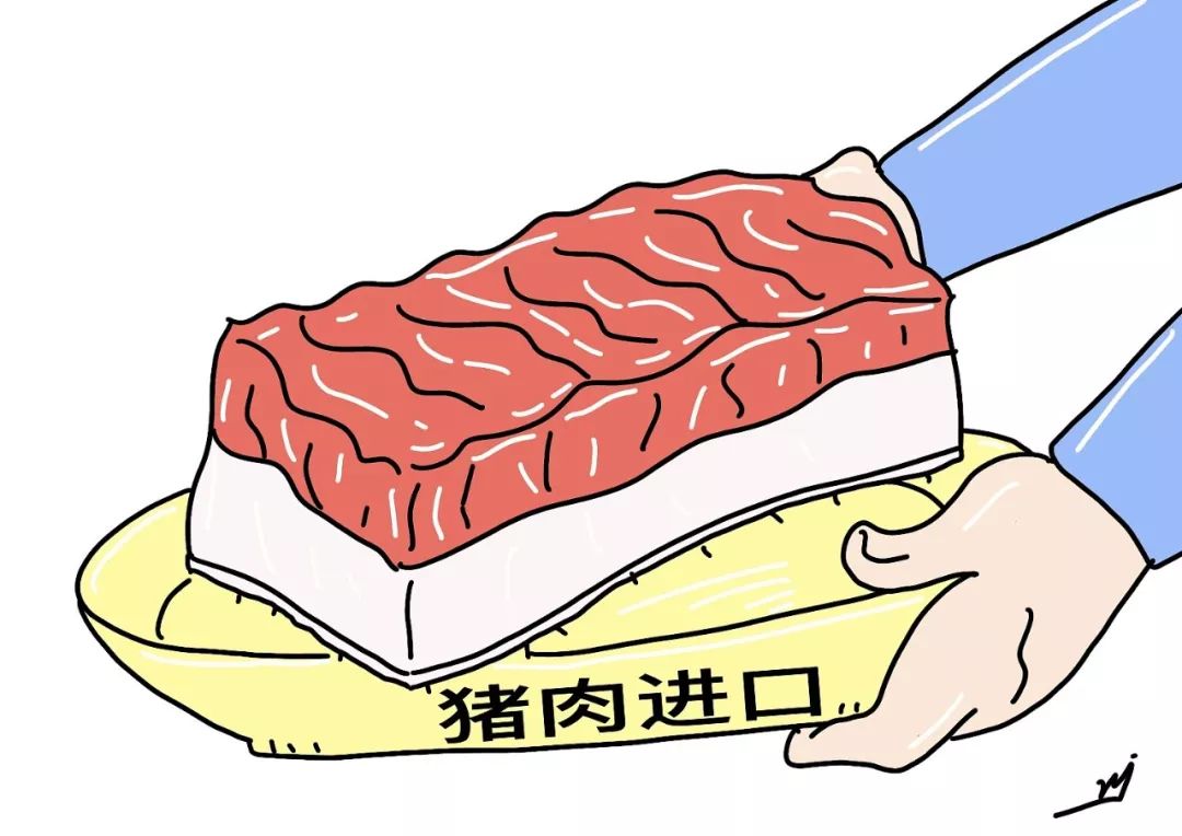 猪肉进口