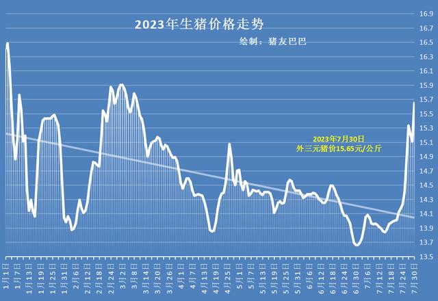 猪价“脱缰猛涨”，阶段性上涨的“顶点”是多少？