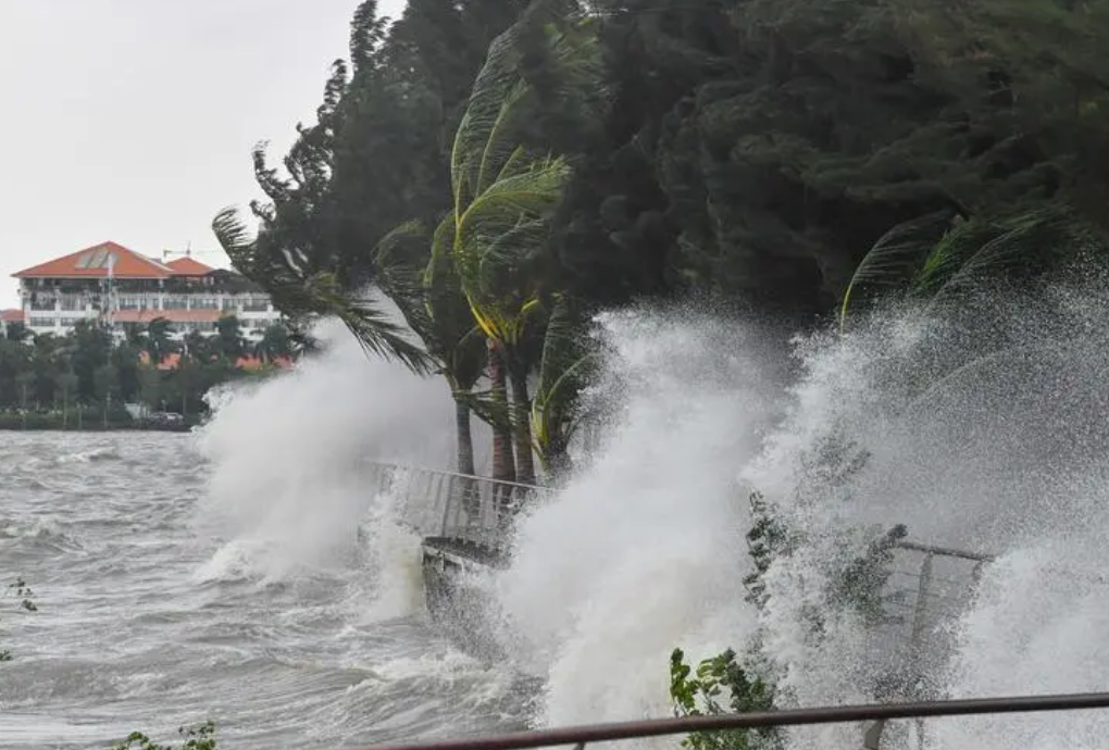 台风