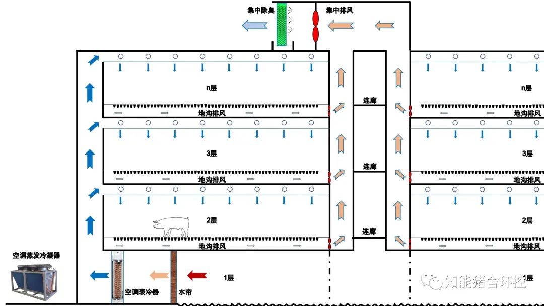 高温高湿地区楼房养猪水帘+空调组合降温+中央排风通风模式工艺立面图