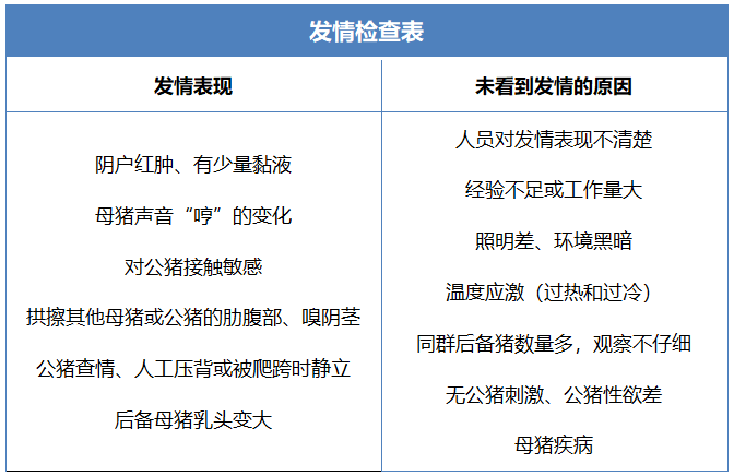 发情检查表