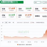 8月3日猪价再次集体“腾飞”，不到“10元”不罢休？后市预测来了