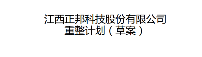 *ST正邦重整计划出炉：双胞胎接管，还有多地国资参与！