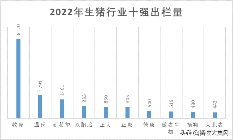 生猪十强出栏量