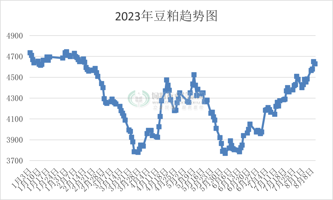 豆粕涨超4800，玉米价格创半年新高！一波饲料企业宣布涨价200元/吨！