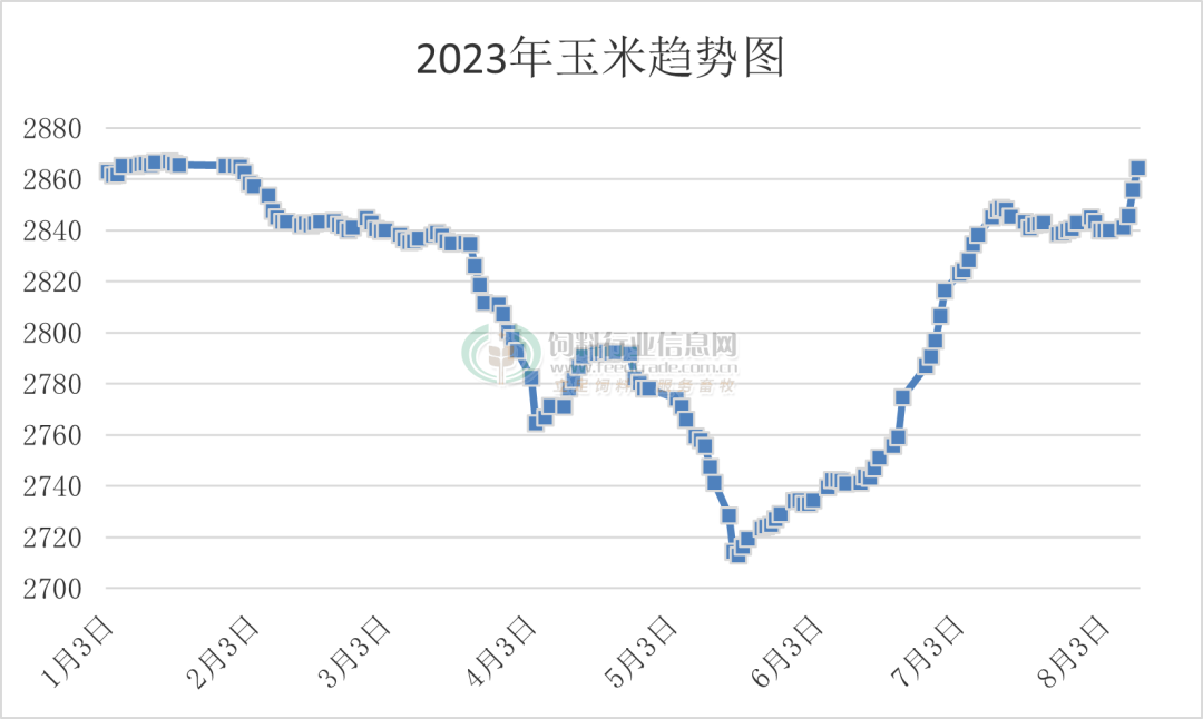 豆粕涨超4800，玉米价格创半年新高！一波饲料企业宣布涨价200元/吨！