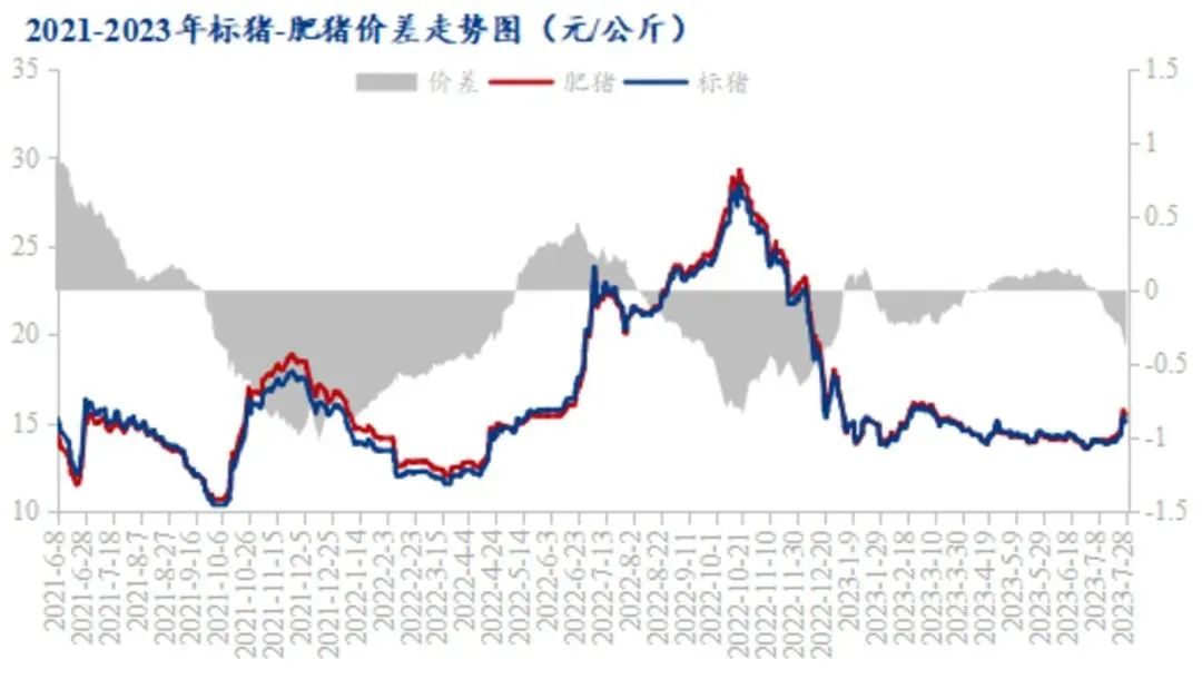 猪价两周上涨超20%！二次育肥是此轮大涨的重要动力！接下来还要涨？