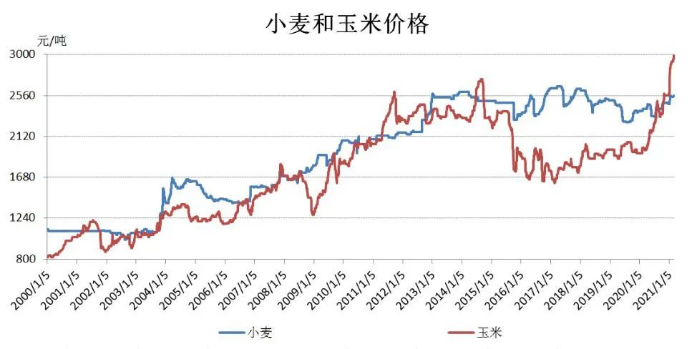 小麦玉米价差