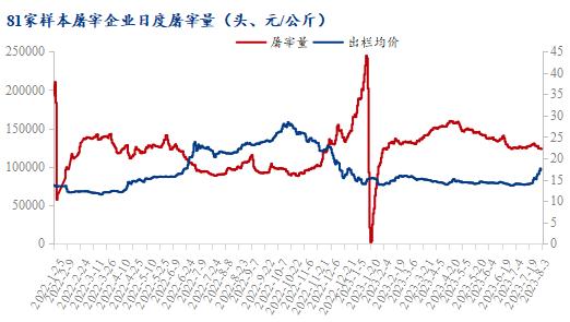 81家样本屠宰企业日度屠宰量