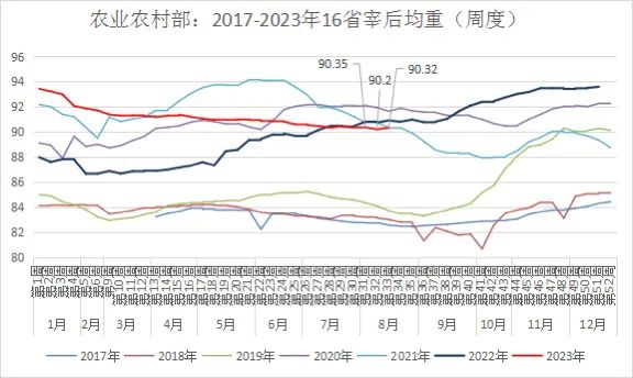 2023年第32周16省宰后均重90.32kg，较上周上涨0.13%