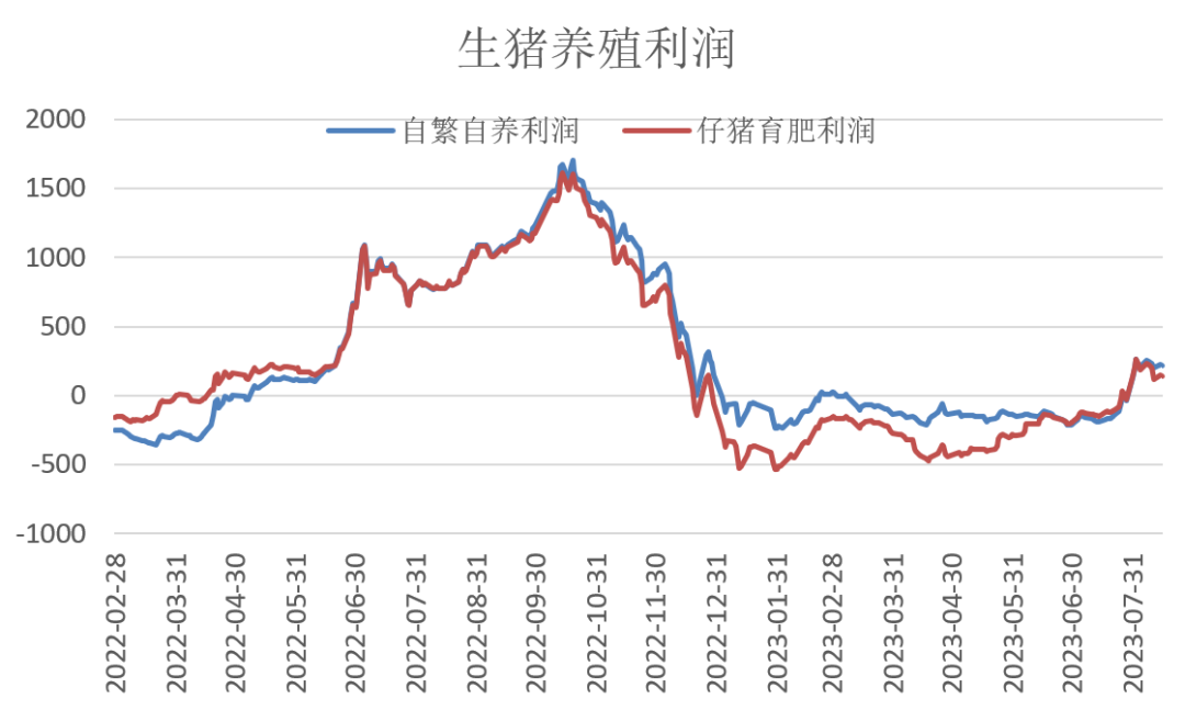 生猪出栏均重回升，后市行情如何？