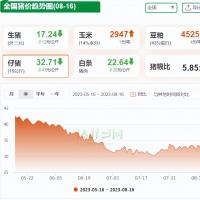 猪价开启下跌潮，仔猪价格大跌“无人买”，8月能否破局？