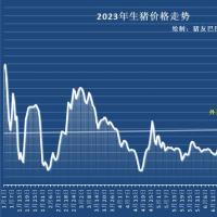 猪价逆势上涨，北方市场“雷霆飘红”，涨势能延续吗？