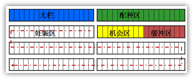  蛇形管理