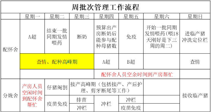 周批次管理流程