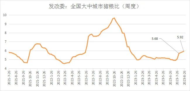 国家发改委：最新猪粮比价5.92！预计猪价上涨空间有限