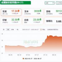 8月27日猪价涨势“重燃”！多地再“飘红”，猪价继续开启“暴涨”模式？