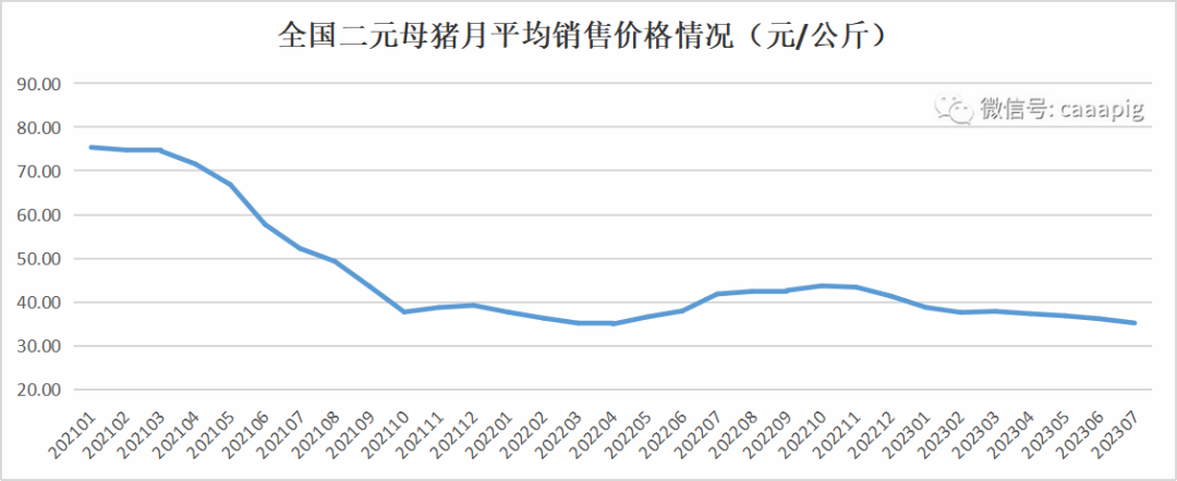 二元母猪价格