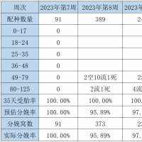 揭秘！为什么后备母猪要使用深部输精？