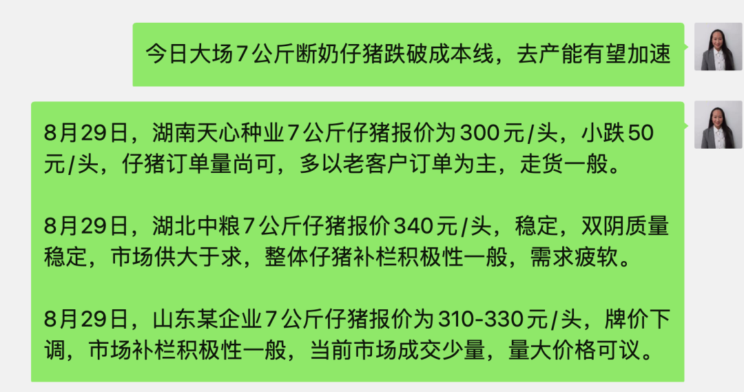 大场断奶仔猪报价300-330元！跌破成本线！去产能有望加速！