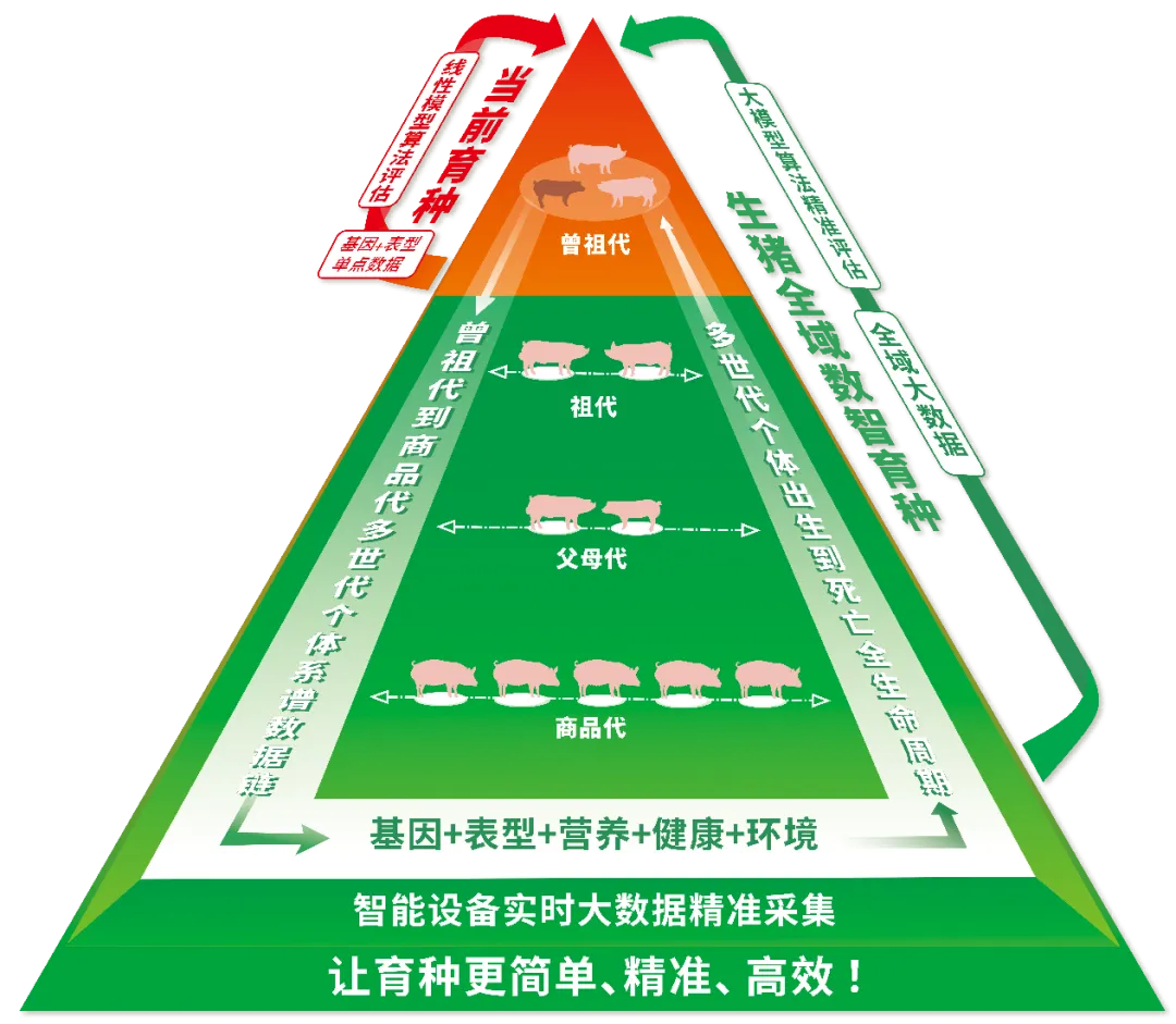 全域数智育种与当前育种体系对比