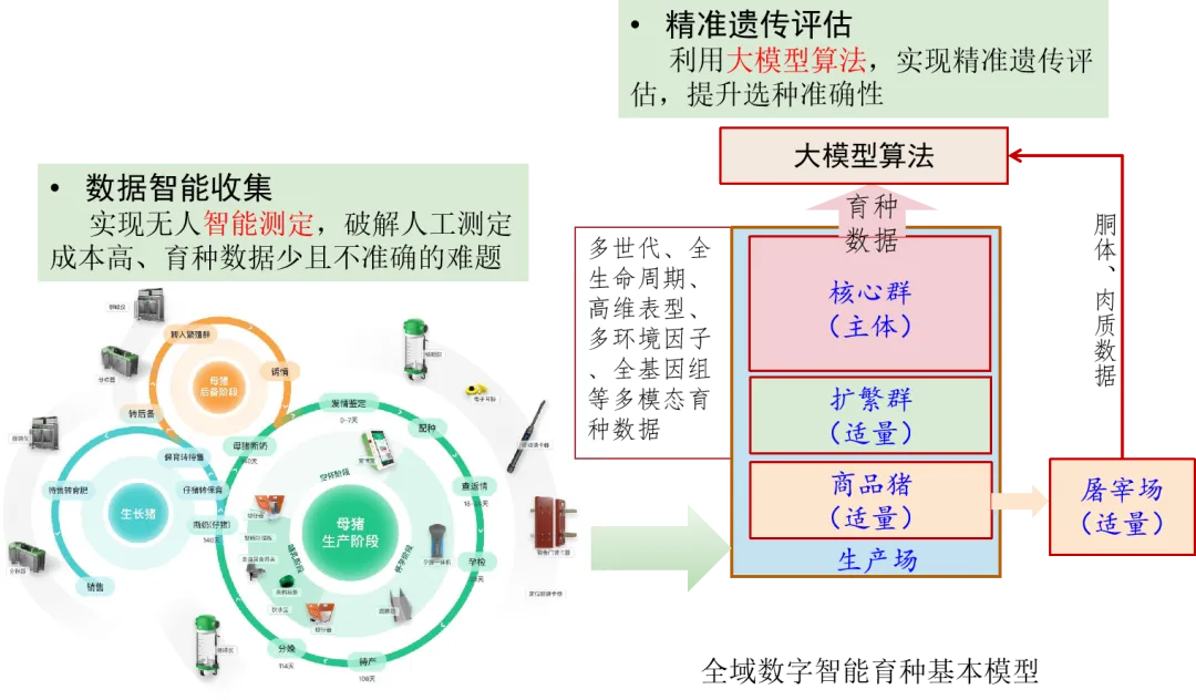 全域数字智能育种场模型