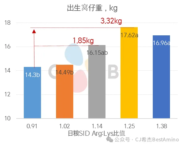 出生窝仔重