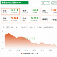 11月9日猪价：跌幅收窄！北方止跌回稳，明日猪价能否重回涨势？