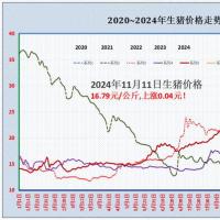 生猪市场一夜“降温”，涨幅收窄，猪价上涨“盛极而衰”？