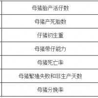 PSY和MSY哪个更能体现母猪的性能或优势？