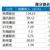 中大猪已连续4个月增长！产能去化动力不足！猪价后市怎么走？