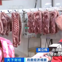 猪肉价格连续下降2个月，下跌原因是啥？后市走势如何？