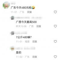 断奶猪苗价格强劲反弹！补栏旺季来临，仔猪价格还会不会上涨？